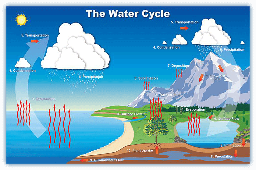 What Is The Water Cycle And Can The Cycle Be Disrupted IWeatherNet